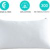 JML Premium Gel Pillow  (20