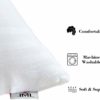 JML Premium Gel Pillow  (20