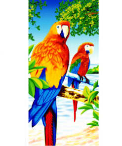 Beach Towel, Quick Dry Towel 28"x58" - 100% Cotton, 300GSM Lightweight, Soft Bath Towel for Pool, Swimming, Travel, Beach Chair (two parrots)